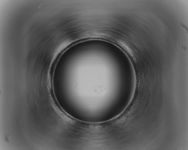 X0000096391080200801311316