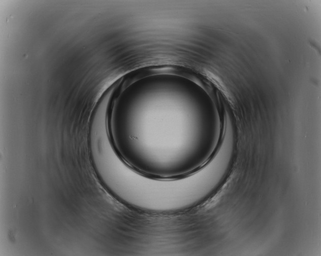 X0000096391081200801311316