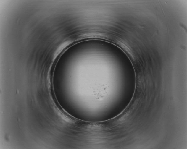 X0000096391082200801311316