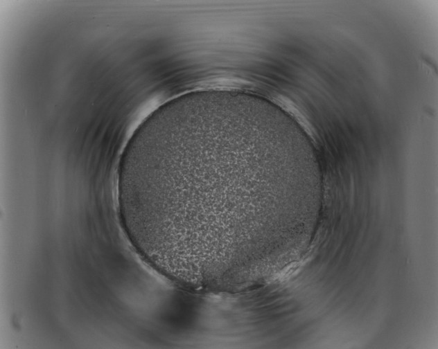 X0000096391083200801311316