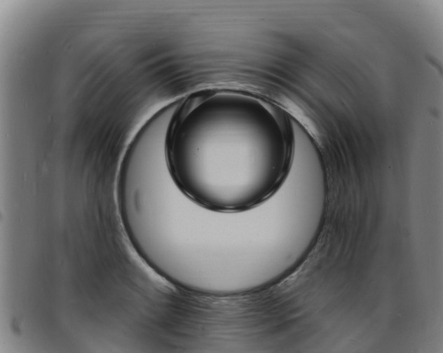 X0000096391084200801311316