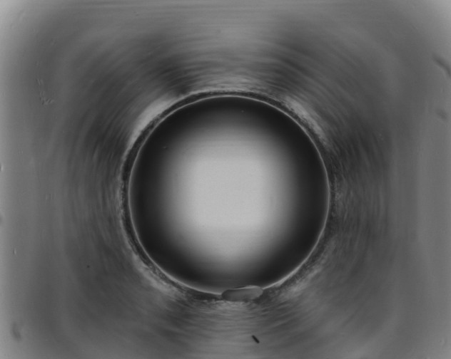 X0000096391085200801311316
