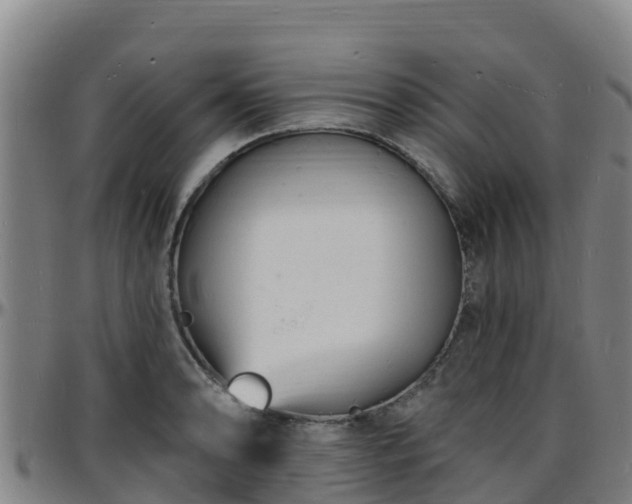 X0000096391086200801311316