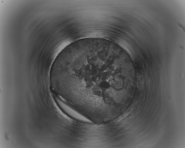 X0000096391087200801311316