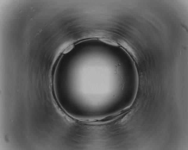 X0000096391088200801311316
