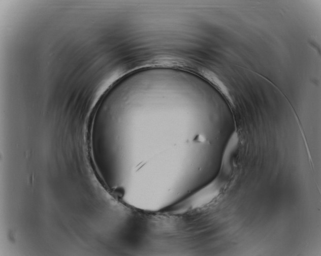 X0000096391091200801311316