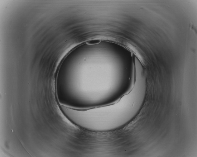 X0000096391092200801311316