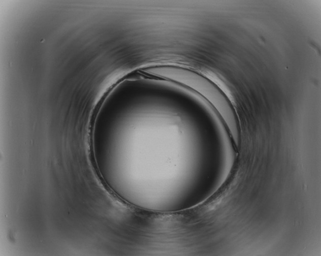 X0000096391093200801311316