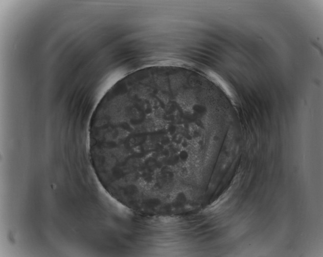 X0000096391095200801311316