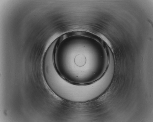X0000096391096200801311315