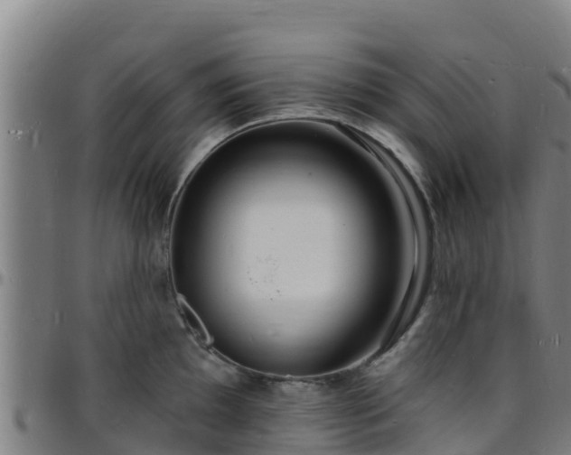 X0000096391097200801311315