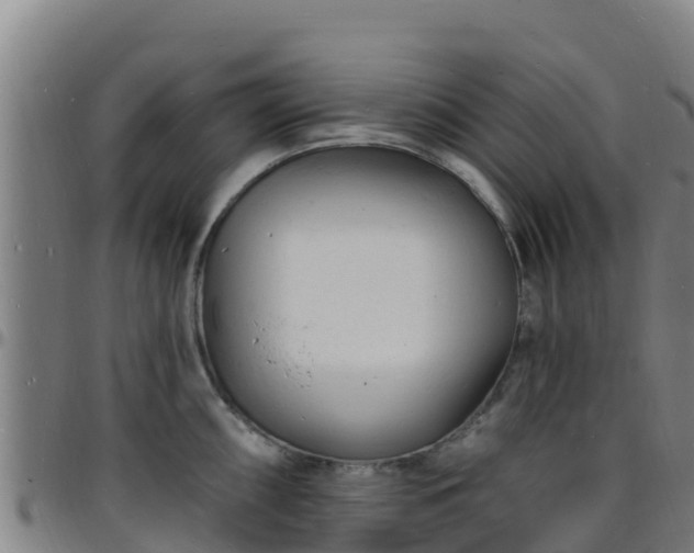 X0000096391098200801311315