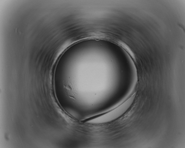 X0000096391099200801311315
