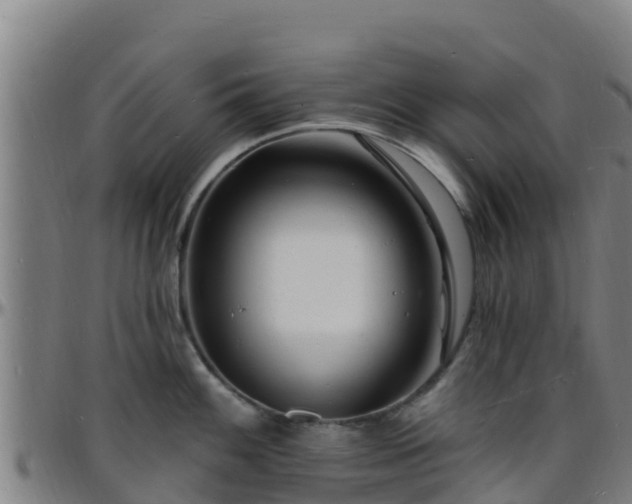 X0000096391100200801311315