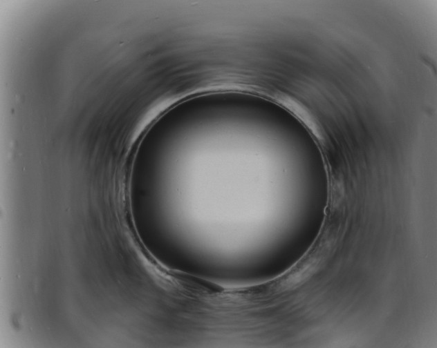 X0000096391101200801311315
