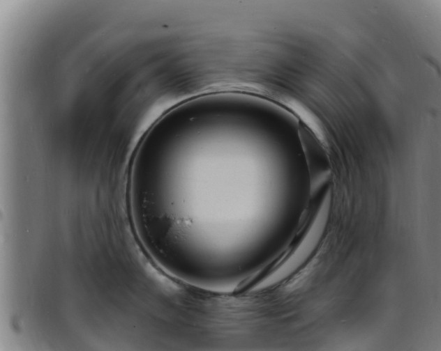 X0000096391102200801311315