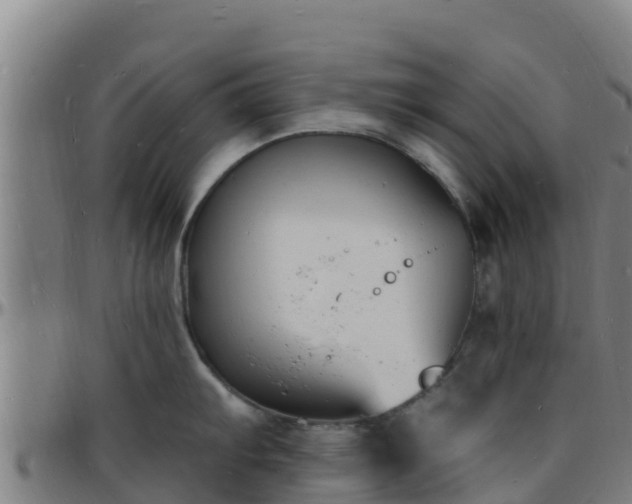 X0000096391103200801311315