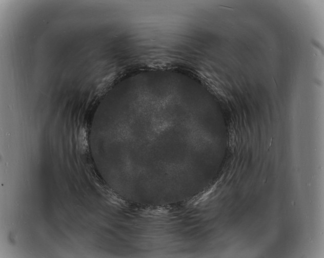 X0000096391106200801311315