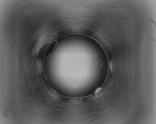 X0000096391107200801311315