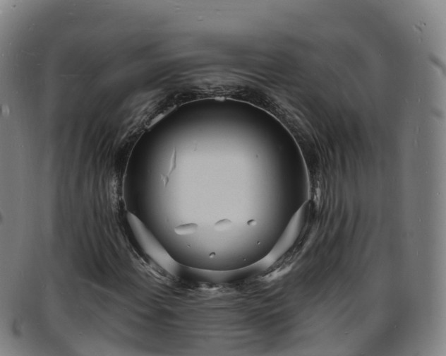 X0000096391108200801311315