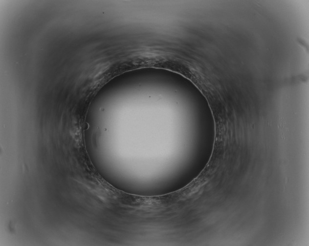 X0000096391109200801311315