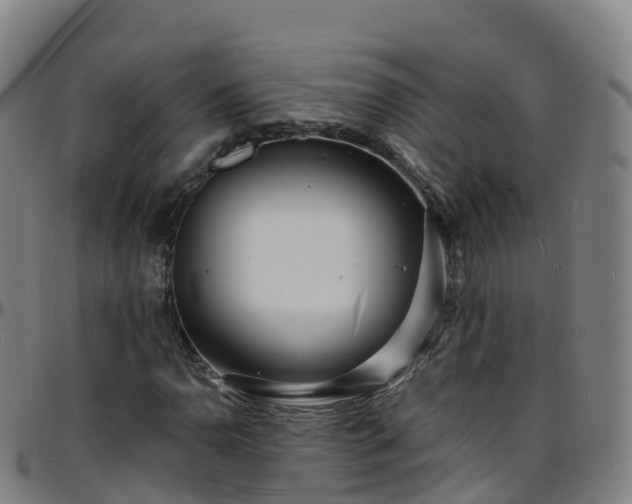 X0000096391110200801311315