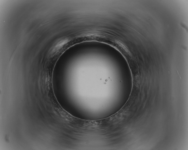 X0000096391111200801311315