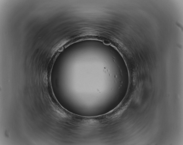 X0000096391113200801311315