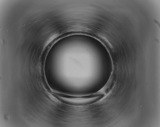 X0000096391114200801311315