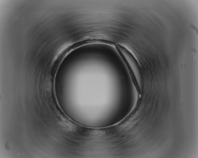 X0000096391115200801311315