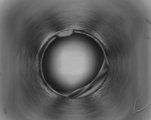 X0000096391116200801311315