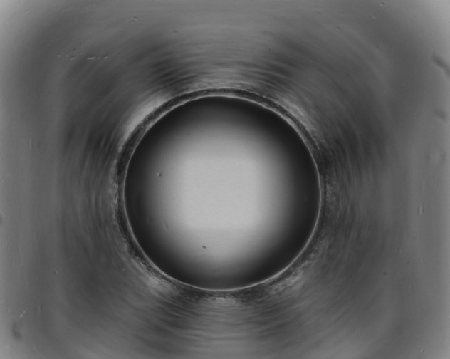 X0000096391119200801311315