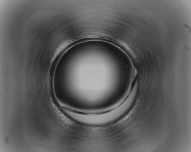 X0000096391122200801311315
