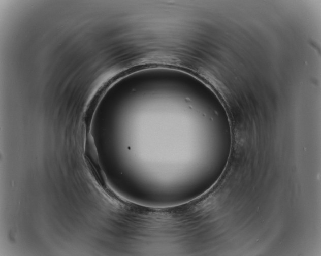 X0000096391123200801311315