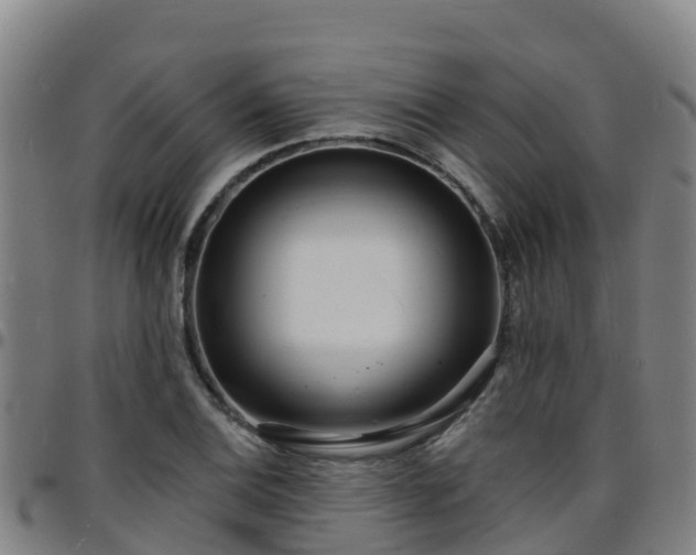 X0000096391124200801311315