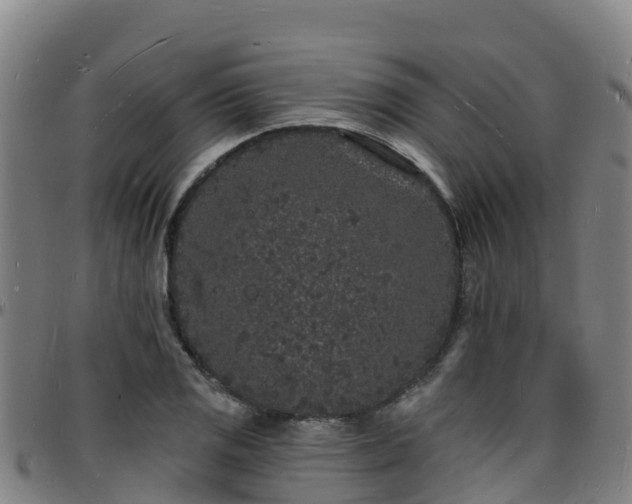 X0000096391125200801311315