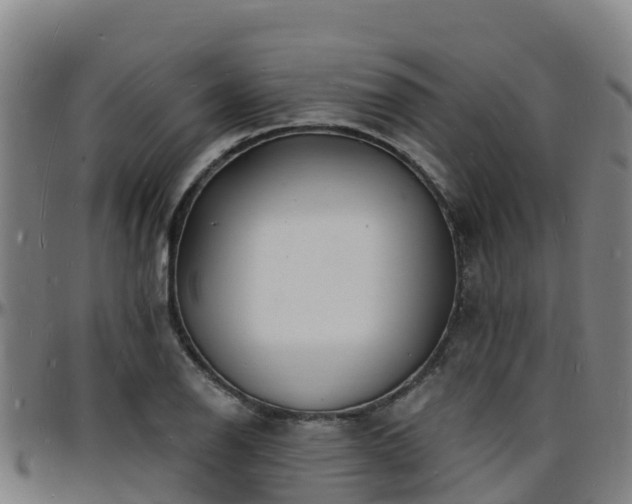 X0000096391126200801311315
