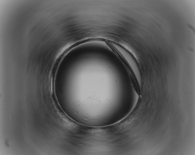 X0000096391127200801311315