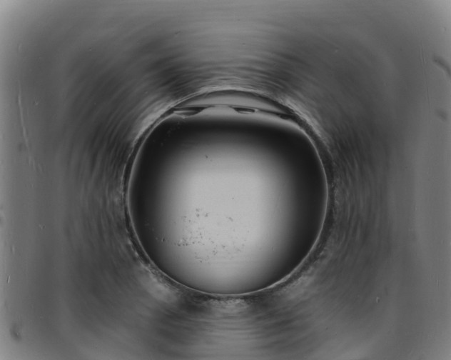 X0000096391129200801311315