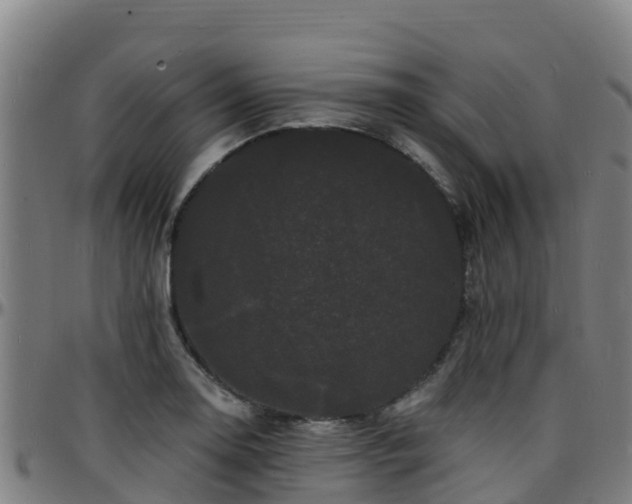 X0000096391130200801311315