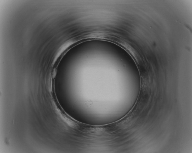 X0000096391131200801311315