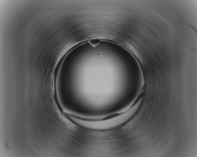 X0000096391132200801311315