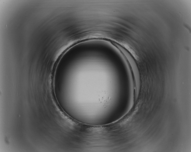 X0000096391134200801311315