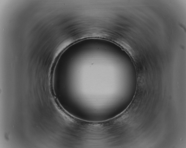 X0000096391135200801311315