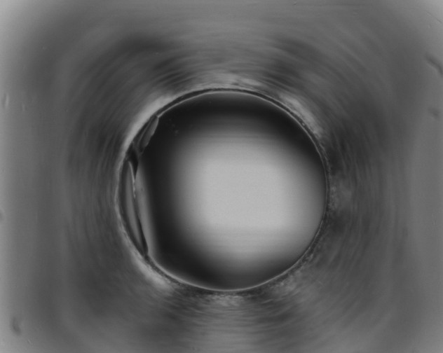 X0000096391136200801311315