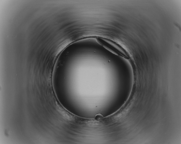 X0000096391137200801311315