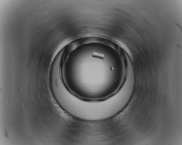 X0000096391138200801311315