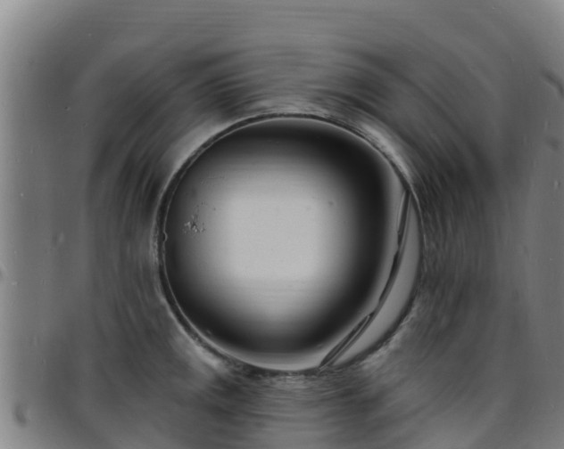 X0000096391141200801311315