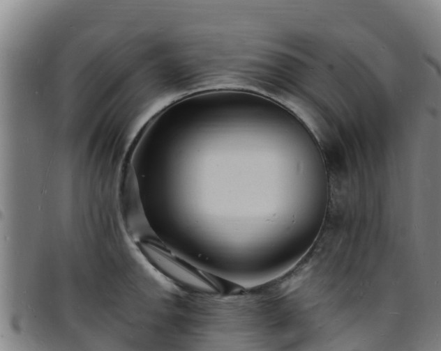 X0000096391142200801311315