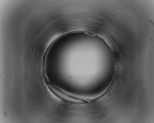 X0000096391143200801311315